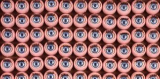 “One and the Many” @ SALT Galata One and the Many