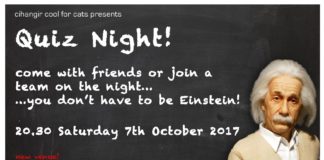 Quiz Night for Cats @ Artist’s Kahvesi Quiz Night for Cats