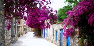 Spoken Word Istanbul Writers’ Retreat @ Datça Writers' Retreat Spoken Word Istanbul