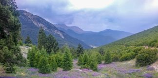 Lost in Turkey: Antalya at Altitude