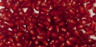 Review: The Bastard of Istanbul @ Zorlu PSM Drama Sahnesi The Bastard of Istanbul Default