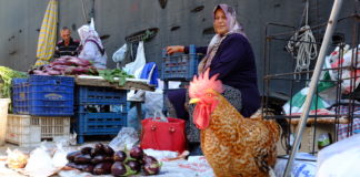 İzmir Getaway: Tire