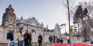 The 12th Istanbul Tulip Festival in Full Bloom