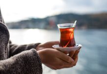 Becoming Part of the Family: The Other Side of Turkish Family Culture