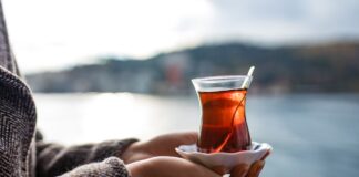 Becoming Part of the Family: The Other Side of Turkish Family Culture
