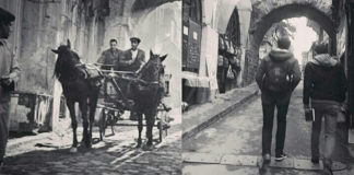 Take 5: Vefa Vefa Take 5