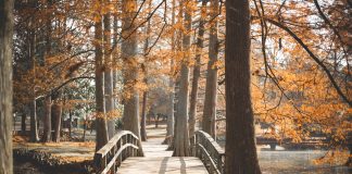 (Sort of) Quiet Spots in Istanbul quiet spots