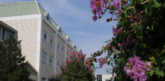 Hiring: English Teachers @ Çakır Eğitim Kurumları Çakır Schools Logo