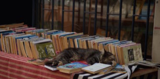 Through the Lens – Anatolian Side: Moda, Kadıkoy Moda, Kadıkoy