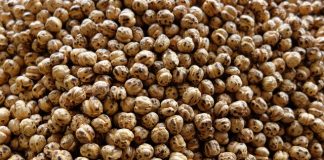 Just for Fun: Seven “Worst” Turkish Foods Just for Fun: Seven Worst Turkish Foods