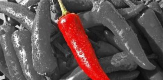 Warming Up Winter w/ Pop-Up Dinners Istanbul Pop-Up Dinners Istanbul