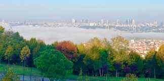 Çamlıca Mosque: Where Faith Meets the Sky