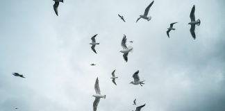 Istanbul: What Your Senses Can Expect