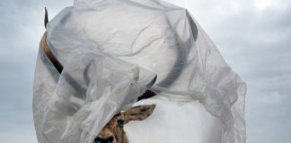 “Our Nature” @ The Photographers’ Gallery Istanbul our nature