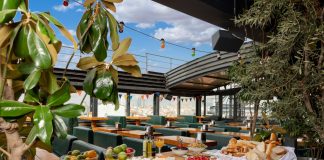 Introducing Sanat Hostel: Comfort and Entertainment in the Heart of the City