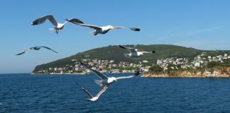 Finding and Following Your Way