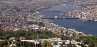 Half Day Afternoon Tour