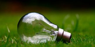 World Cleanup Day with Tidy Turkey @ Büyükada tidy turkey