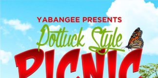 A Yabangee Potluck Style Picnic @ Maçka Park yabangee potluck style picnic