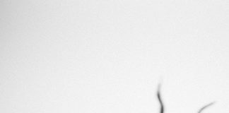 (Sep 8, 9) Rhye @ Salon IKSV rhye