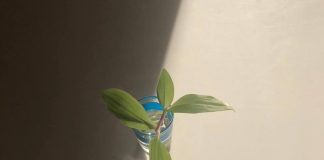 (May 12- July 1) Exhibition: ”On Lightness” @ Depo