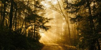 Walk Across Turkey: Menderes River Valley