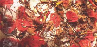 “The Chronicles of Flowers” @ Zilberman Projects–Istanbul The Chronicles of Flowers