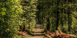 Walk Across Turkey: Where am I? walk across turkey