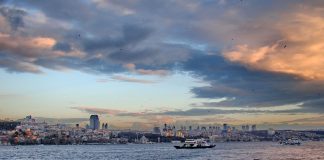 The Istanbul Incident: The Case of the Spinning Dolphins