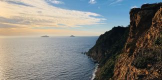 The Respite of Istanbul’s Princes’ Islands The Respite of Istanbul's Princes' Islands