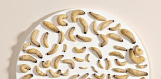 “Don’t Be Deceived!” @ x-ist Don't be deceived!