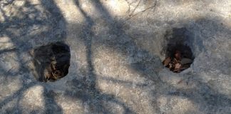 (PAST EVENT) Exhibition: “Until We Meet Again” @ Halka Art Project "Until We Meet Again"